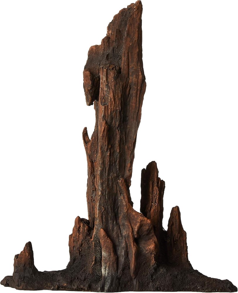 Petrified Wood - Large