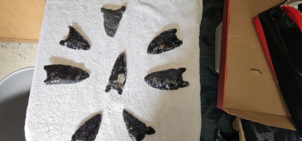 Volcanic Glass Arrowhead 8 Piece Set Clovis Points Lot # 15