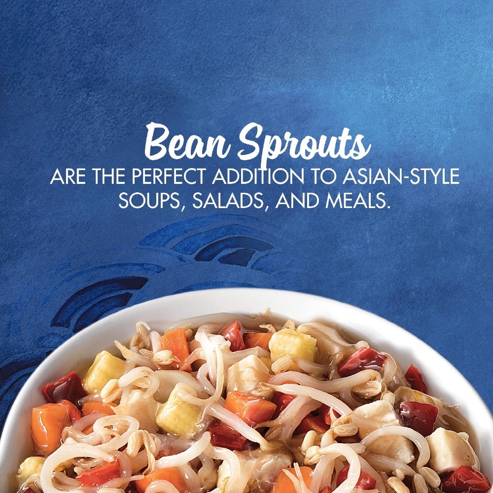 Canned Bean Sprouts - 14 oz Can, 4 Pack, Fresh Crispy Vegetable