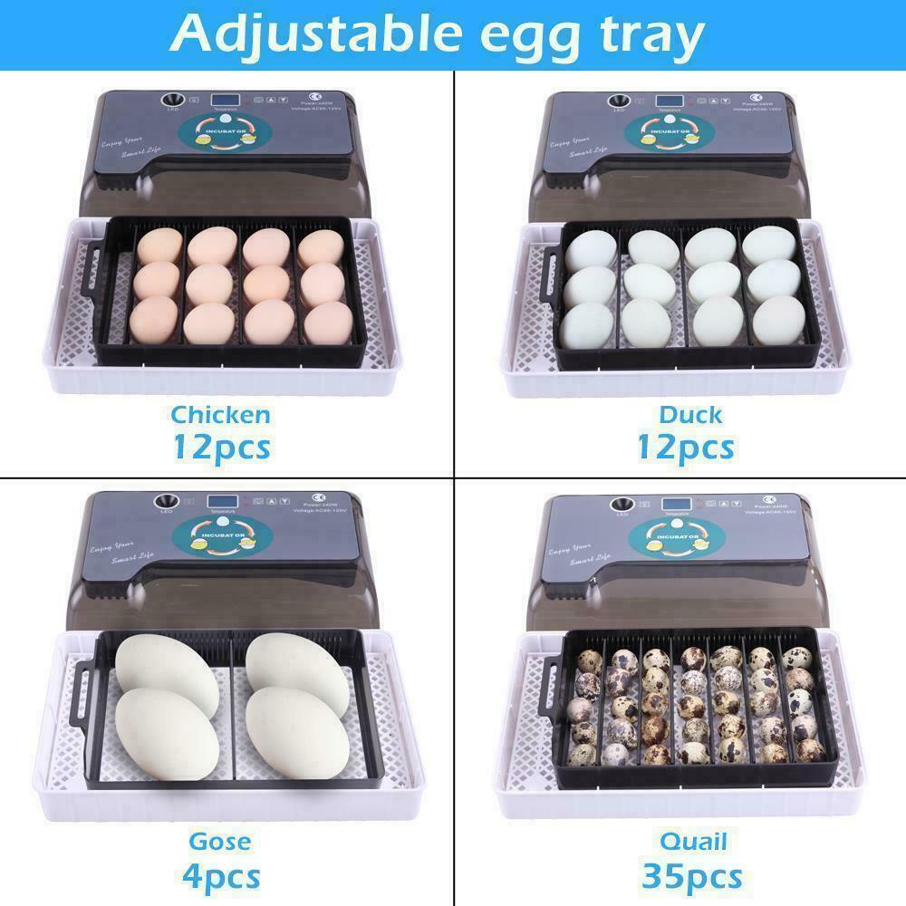 Automatic Egg Incubator for Hatching Eggs 12 Eggs Incubator Automatic Egg Turn