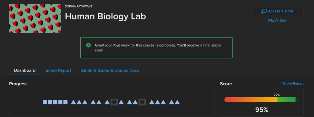 Sophia Learning, Study.com, TECEP and other Self-Paced Credits for transfer