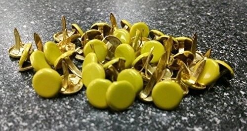 Scrapbooking - Large Round Brads Lime Bulk 50ct