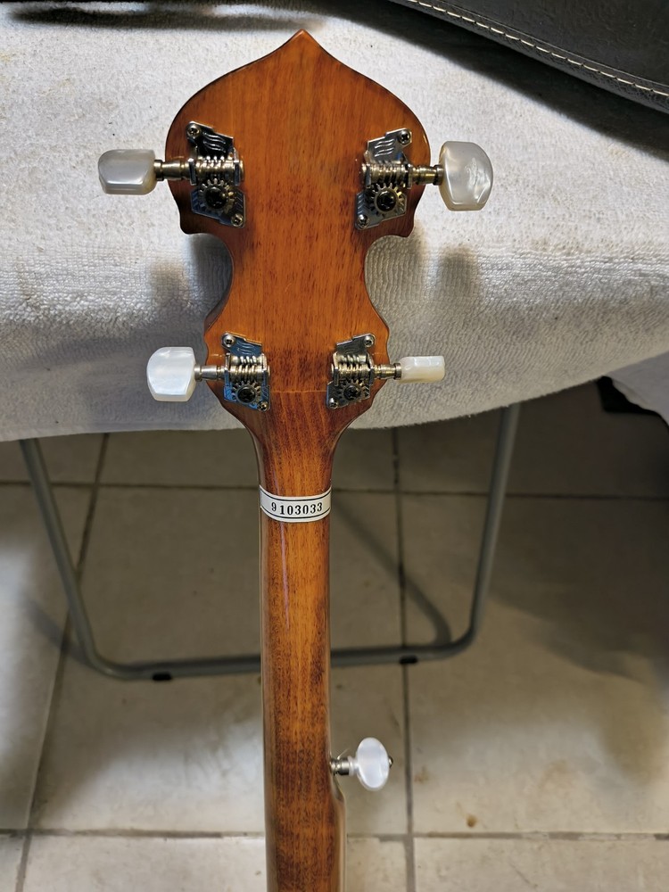 Washburn B9 Americana Series 5-String With Leather Case
