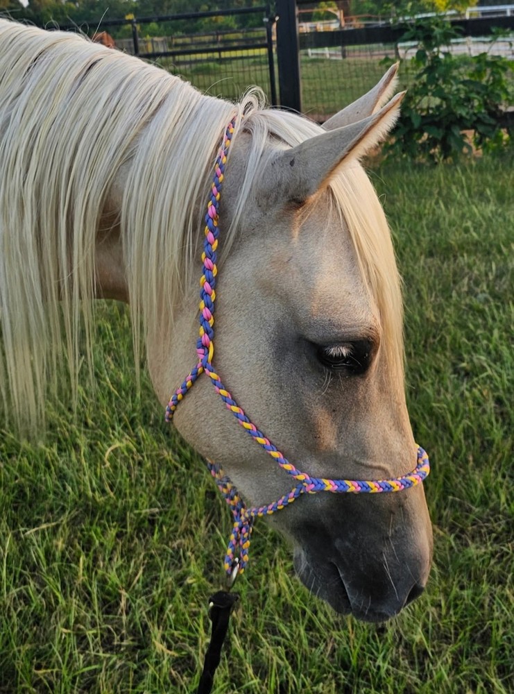 Paracord Braided Rope Halter
