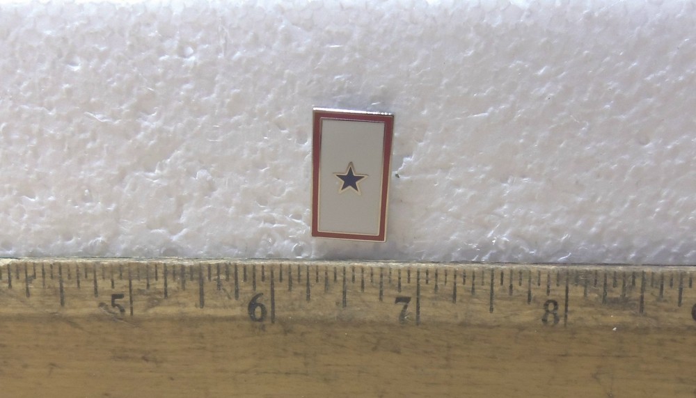 Blue Star Pin