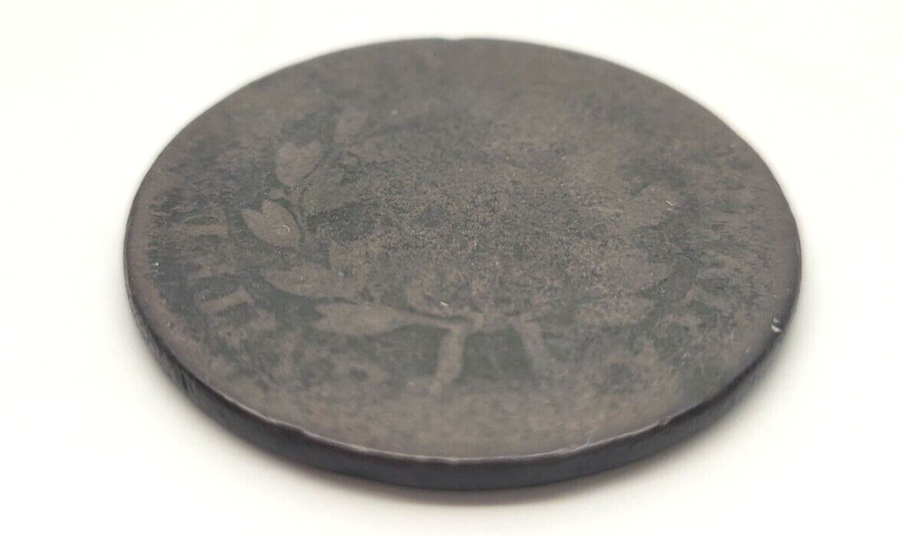 1801 and 1802 Draped Bust Large Cents