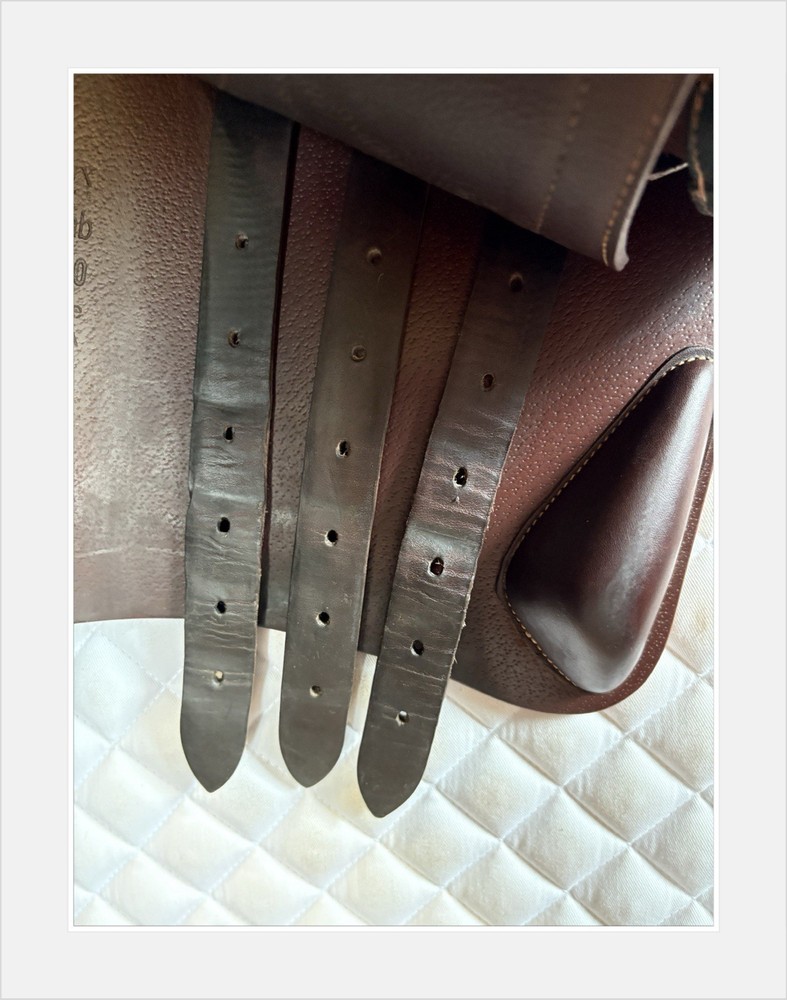 Devoucoux Biarritz Lab Jump Saddle. 18” Arcade Normale