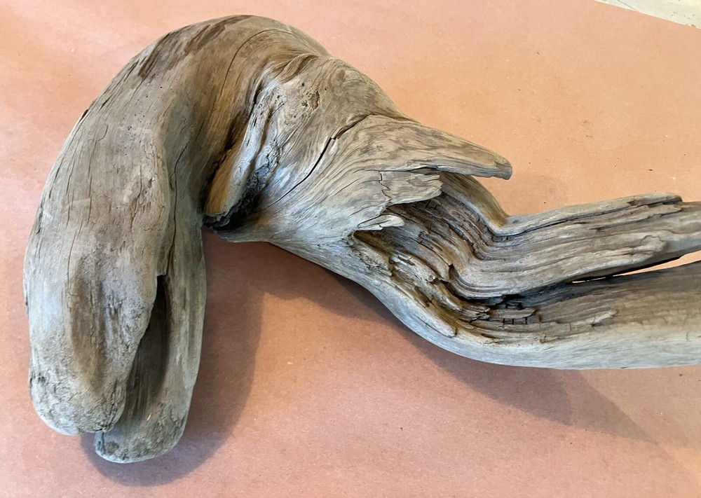 Beautiful Driftwood