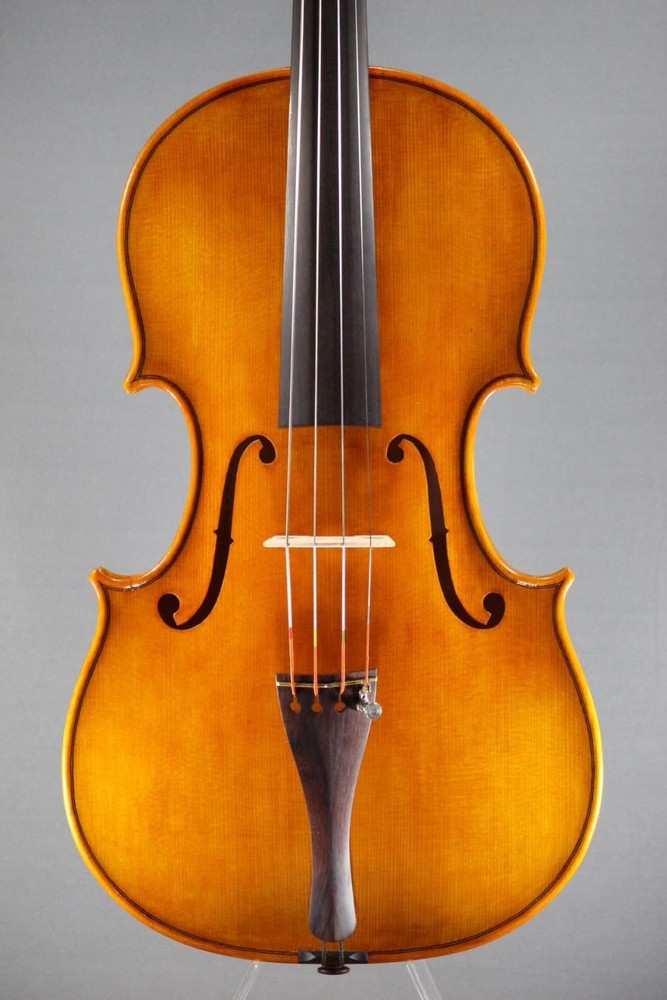 Viola