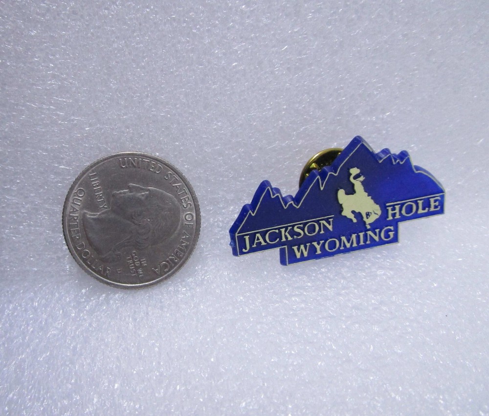 Jackson Hole Wyoming Cowboy Plastic Pin