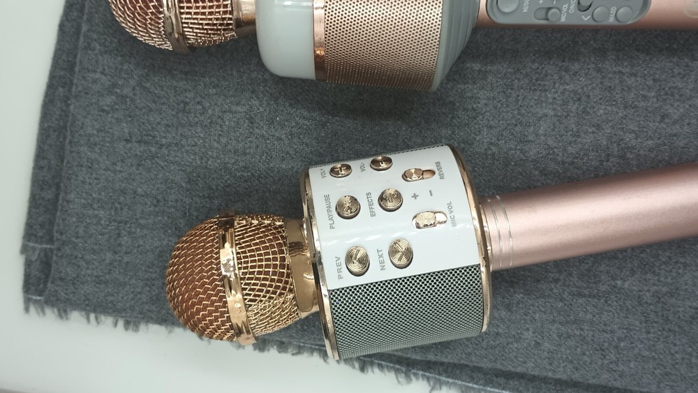 Perfect Pitch Karaoke Wireless Microphone and Recorder