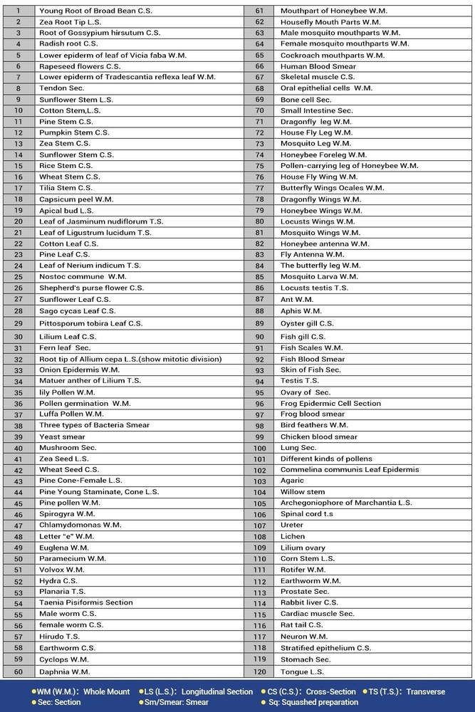 Beginner’s Microscope Slide Collection: 120 Specimens for Exploration & Learning