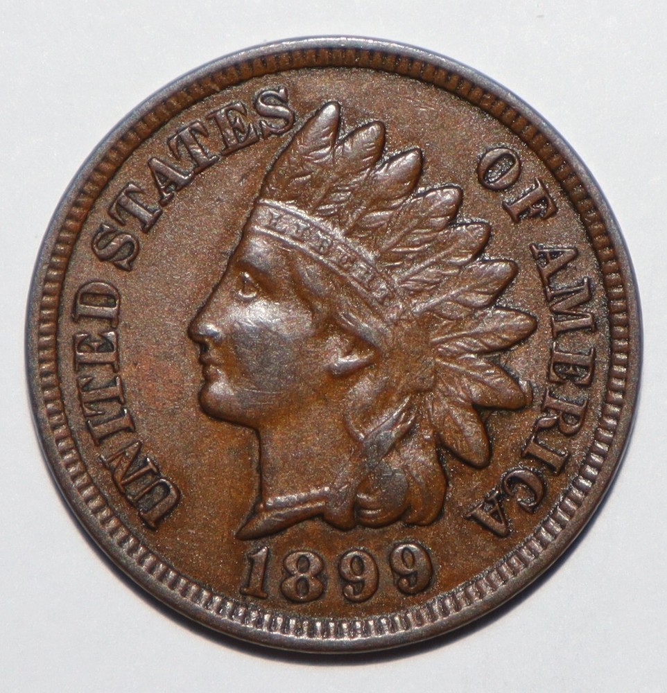 1899 Indian Head BROWN UNC (Y162)