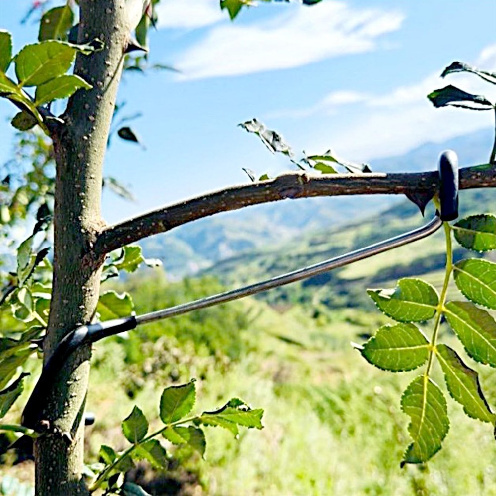 Fruit Tree Branch Limb Spreader Support Extension Solution 10 Inch 20 PCS Set