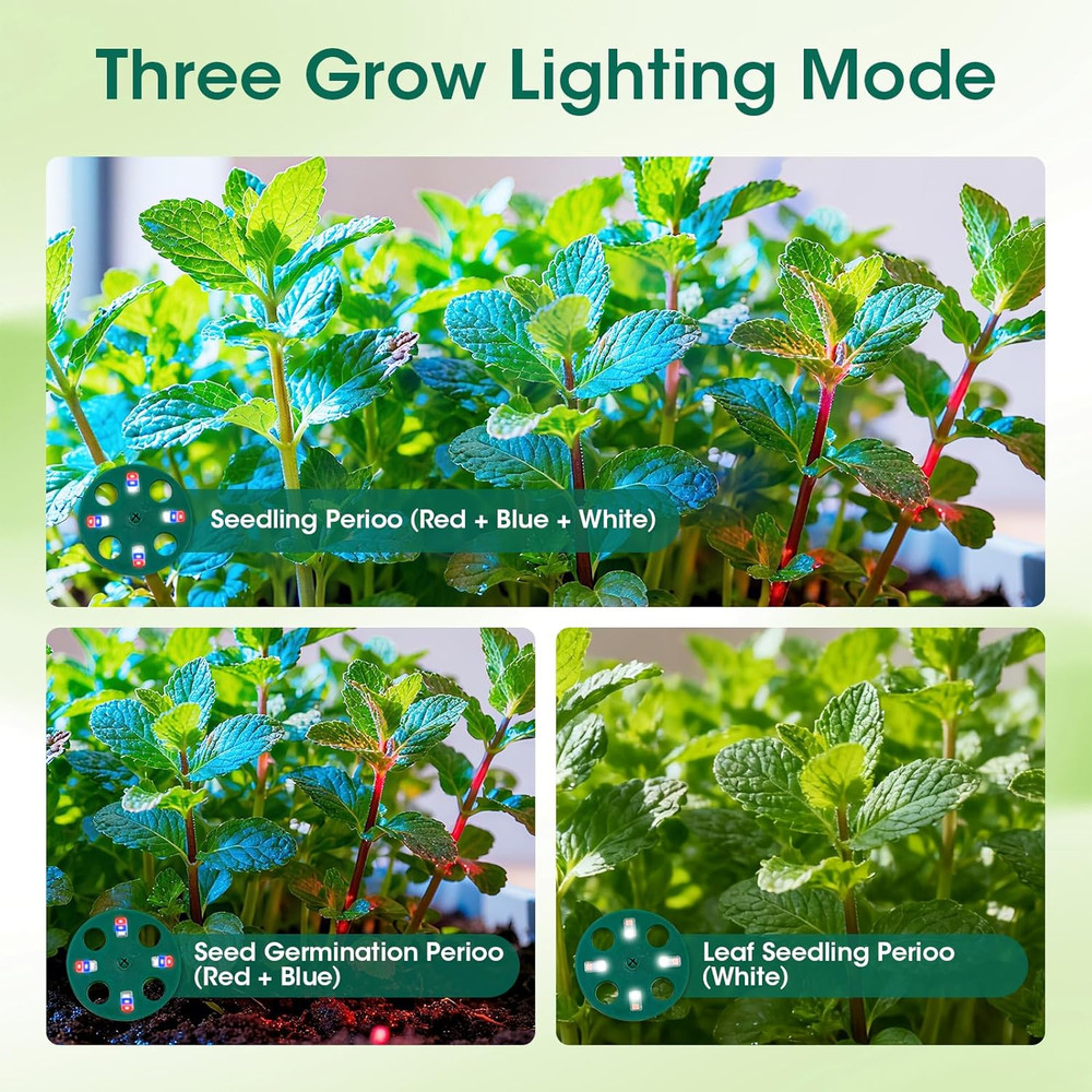 60-Cell Self-Watering Seed Starter Kit with Grow Light - 5-Pack