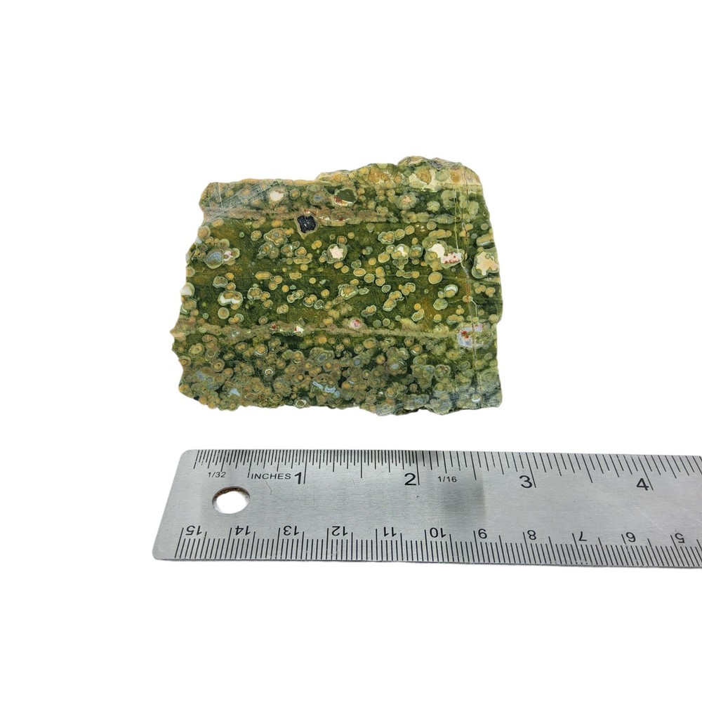 Rainforest Jasper, slab, cabbing rough, lapidary, #R-7043