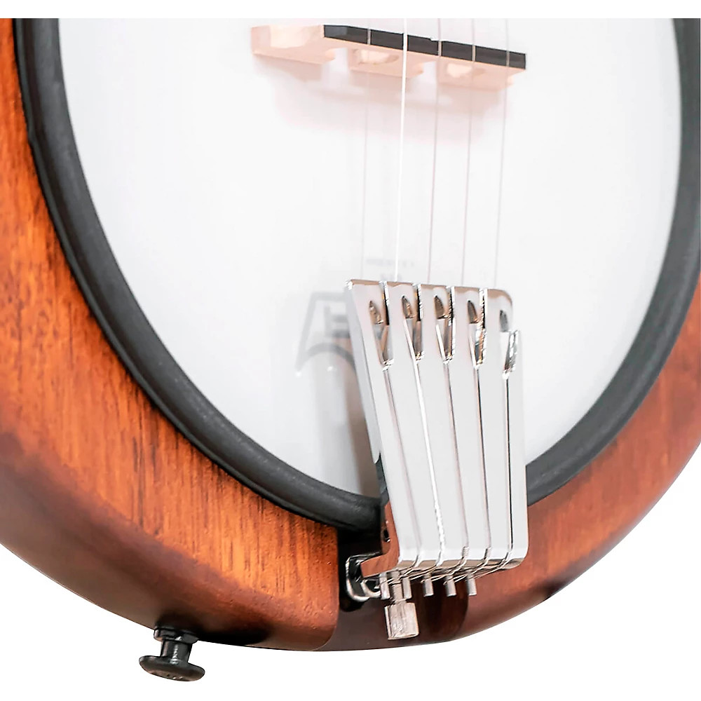 EB-5 Electric Banjo