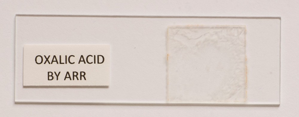 Microscope slide for polarized light, OXALIC ACID