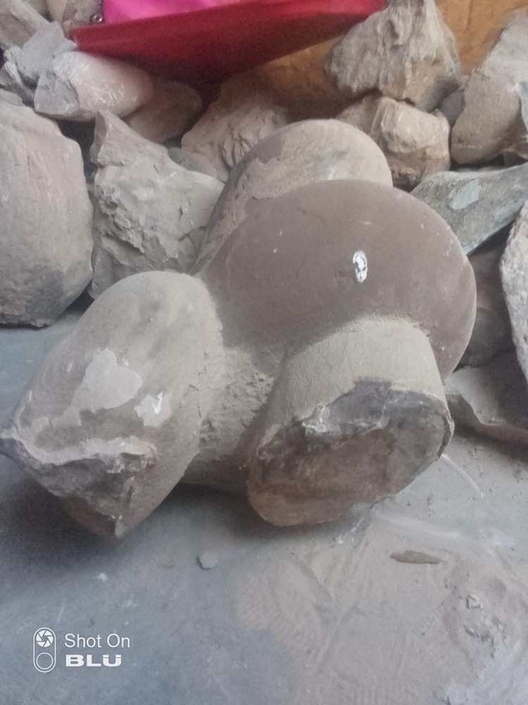 Unknown Possible Dinosaur Nest