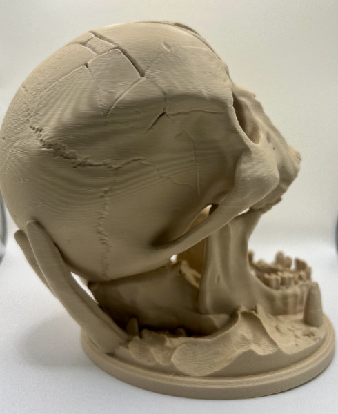 Skull Dice Tower – 3D Printed RPG Dice Roller