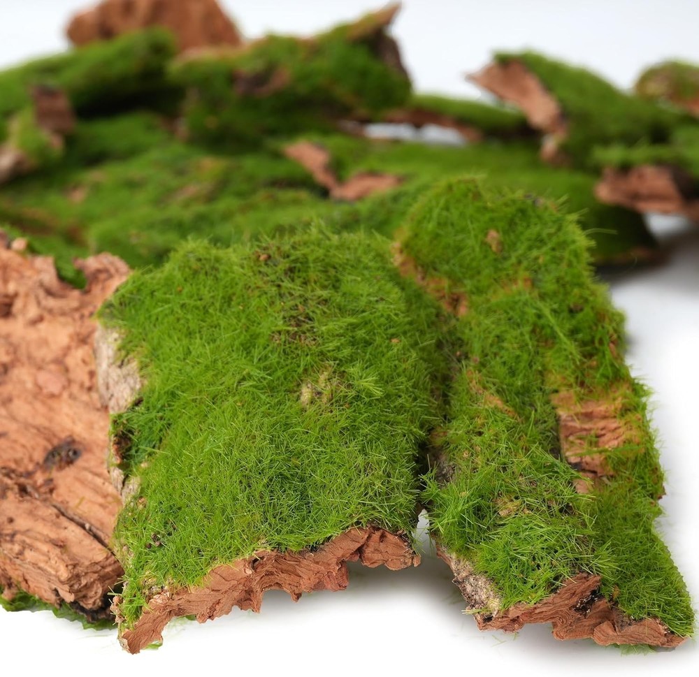 BYHER Assorted Artificial Moss Bark, Decorative Mossy Realistic Green - 100gr
