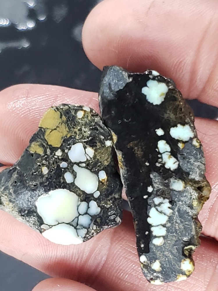 Nevada Aloe Variscite Slabs