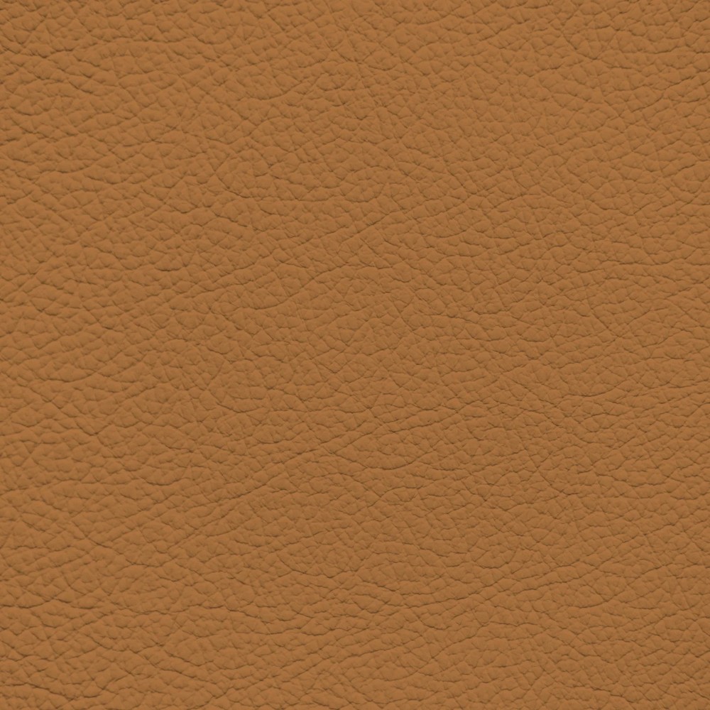 BMW Zinke Tan Leather Dye