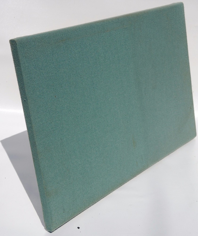 HERMAN MILLER ETHOSPACE 48"Wx 16"H Wall mint green fabric Tile for CUBICLES