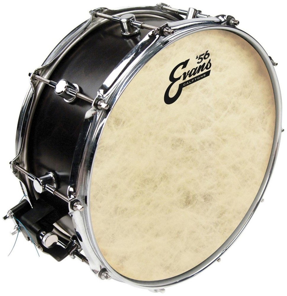 Evans Calftone Drumhead 14 in.
