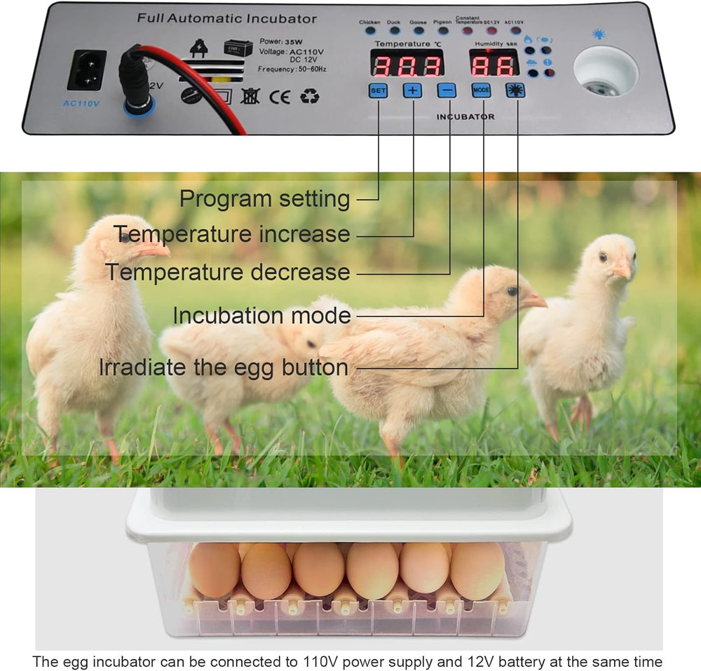 Incubators for Hatching Eggs, Egg Incubator with Automatic Egg Turning and Humid