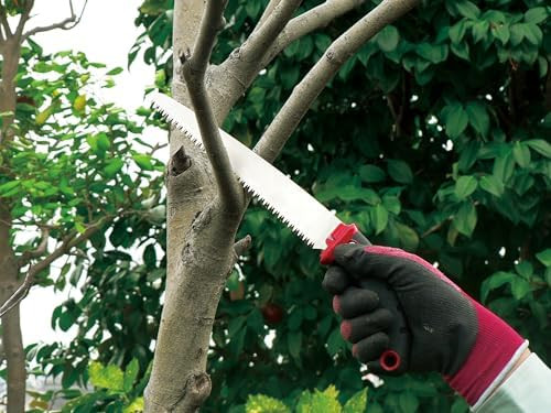 Ars fruit tree pruning saw 24 SG-24 New