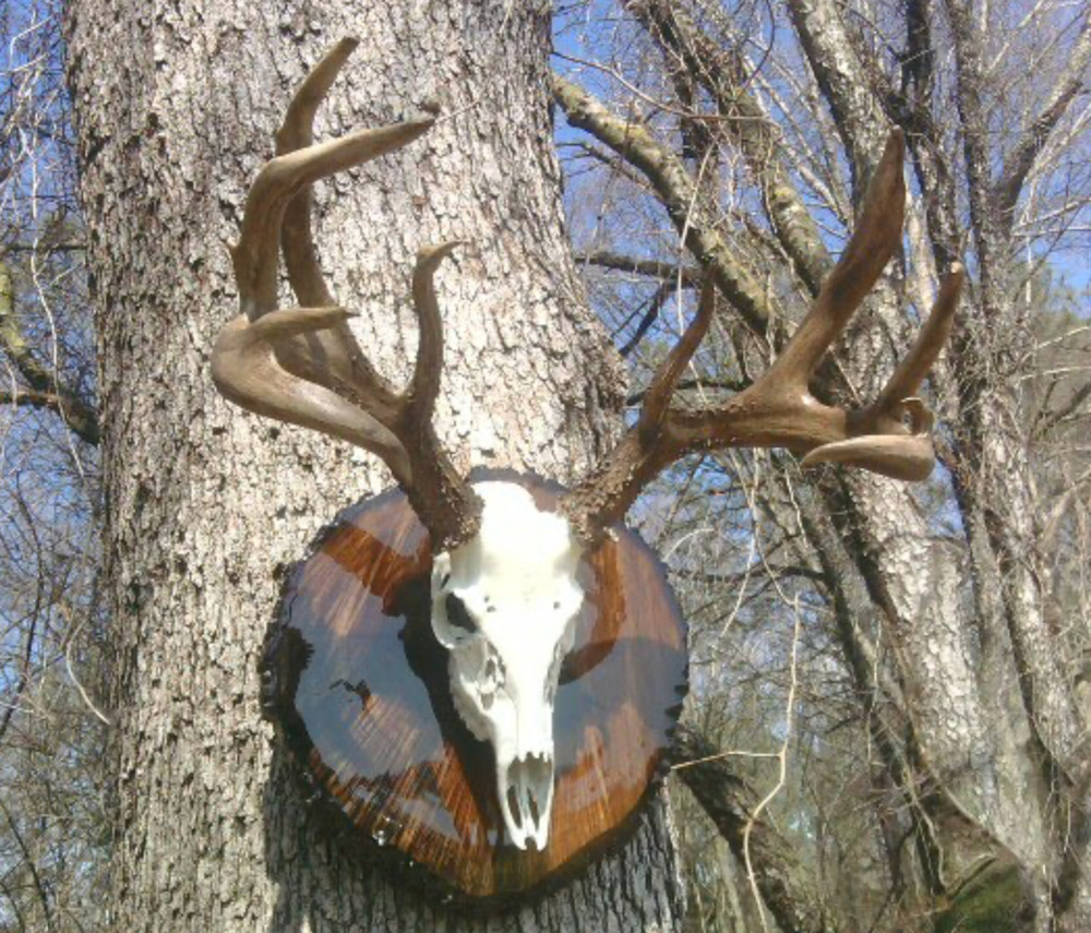 Deer Antler Magic antler coloring system 1 pound