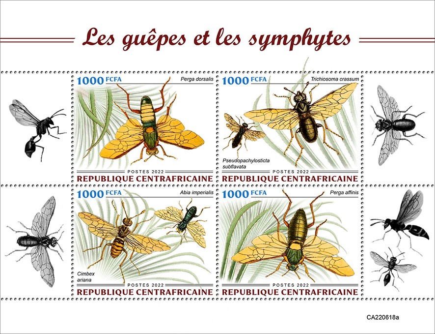 Wasps and sawflies