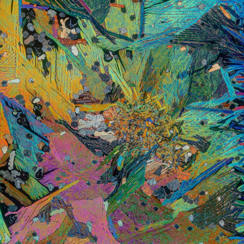 Microscope slide for polarized light NIACIN and CAFFEINE