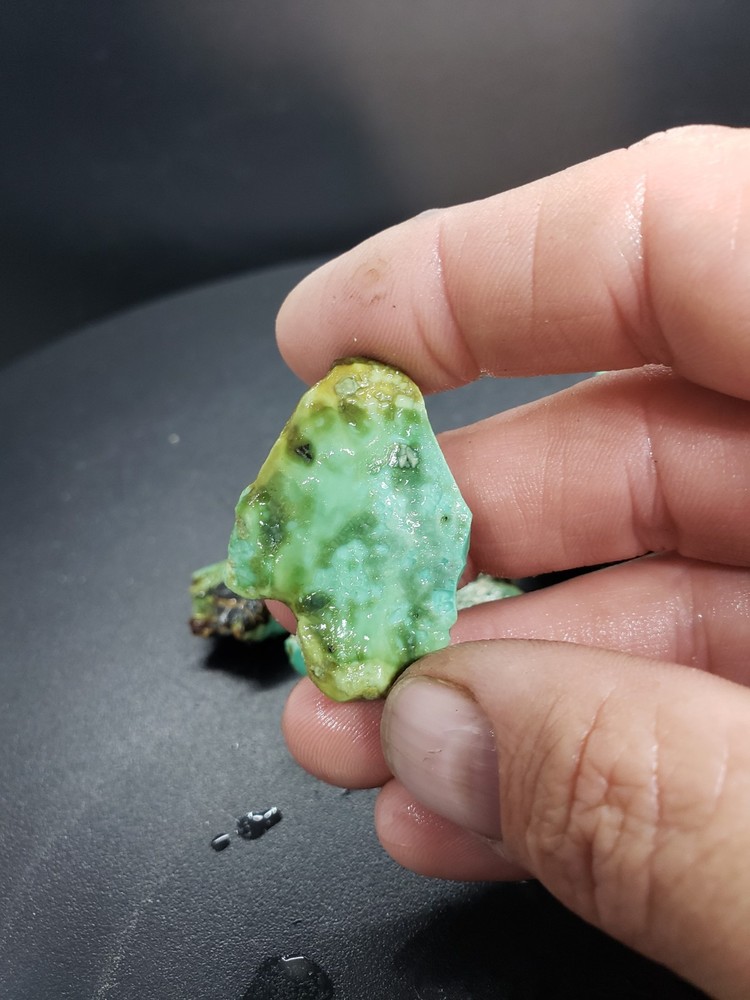 Nevada San Pedro Variscite Rough 88 Grams