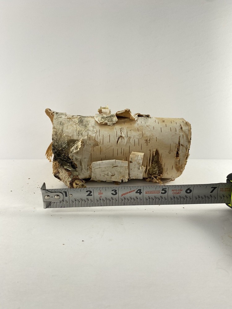 Birch Log For Crafts Projects Decorations Fireplace Carpentry Natural Wood Piece