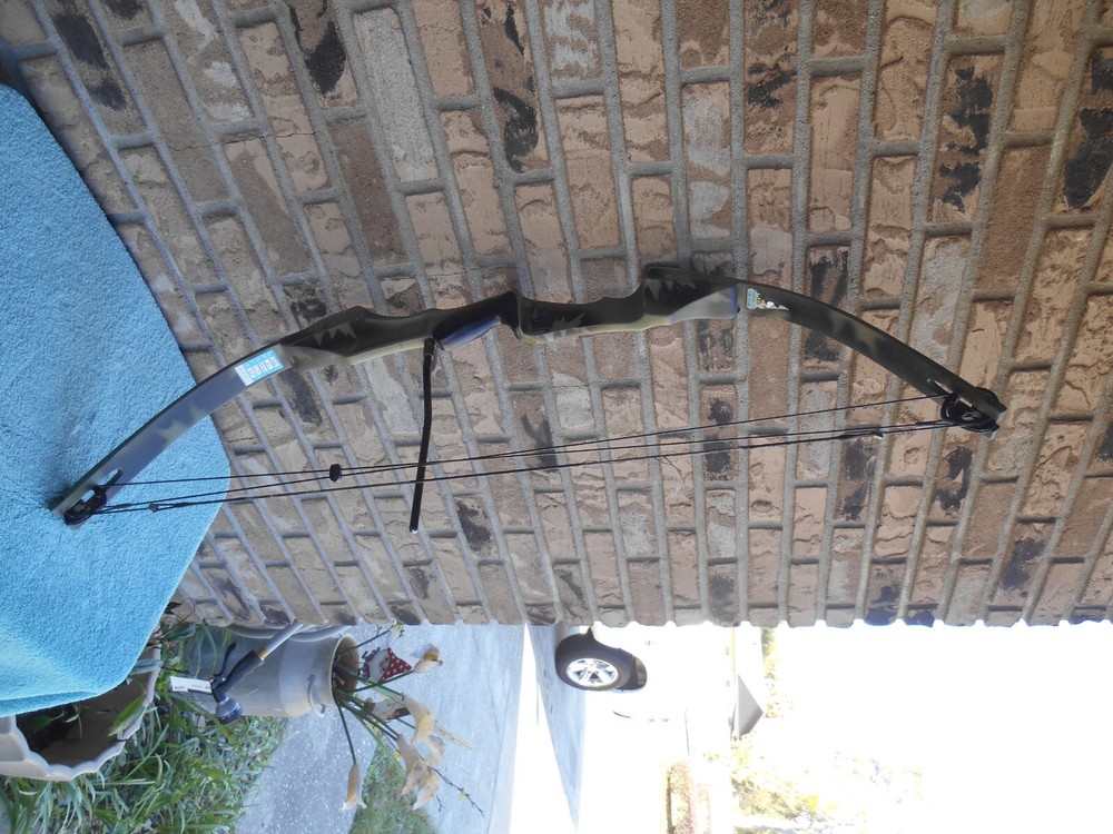 VINTAGE American Archery AM Hunter Compound Bow