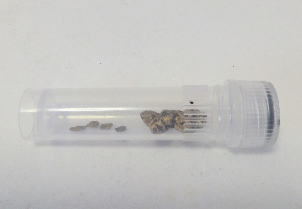 1.3 Grams Alaska Gold