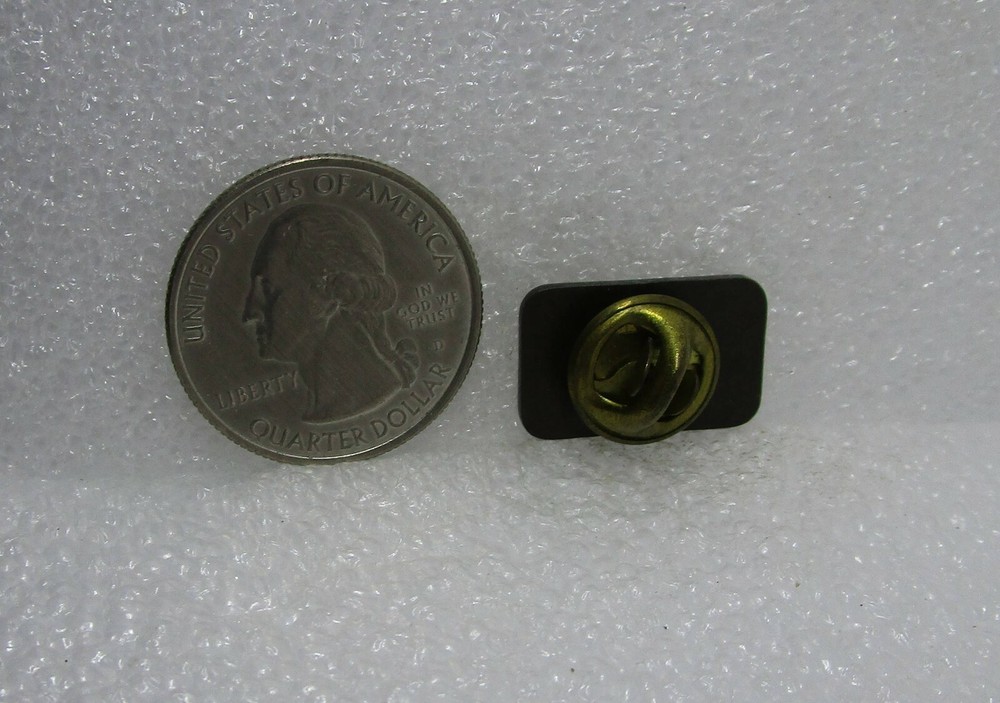 Winning With Teamwork Pin