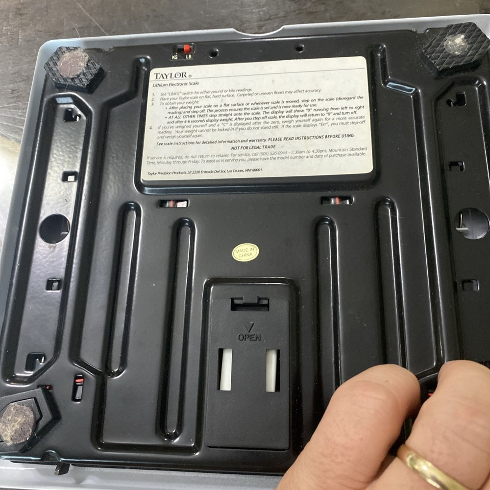 Taylor Lithium Electronic Scale