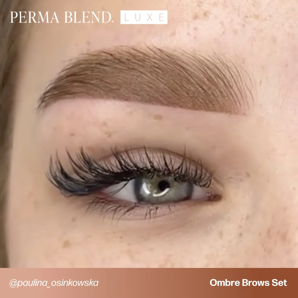 Perma Blend LUXE x Osinkowska Ombre Brows Collection Set Kit Microblading