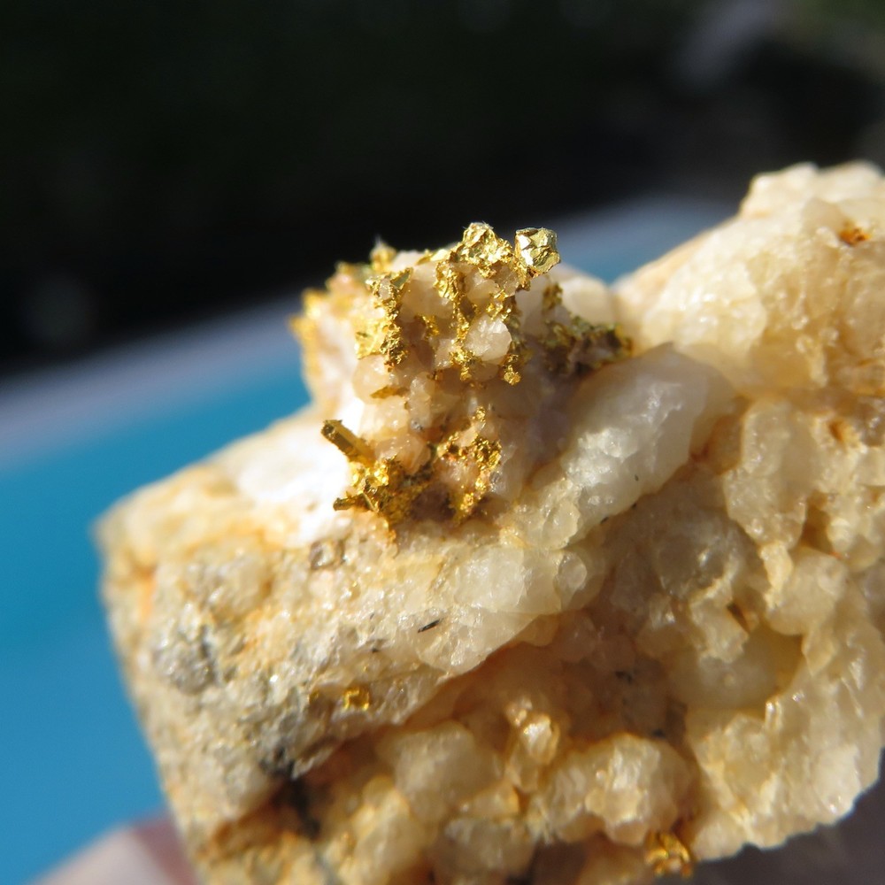 Minerals *** HISTORIC NATIVE GOLD on Brusson MATRIX