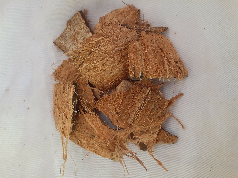 100% Natural Ceylon Coconut Shell Chips for Orchids and Other Works Eco Friendly