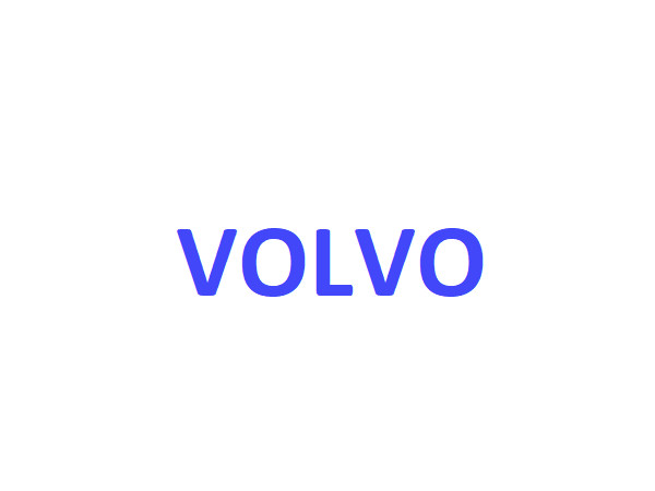17265044 Cylinder Kit fits Volvo