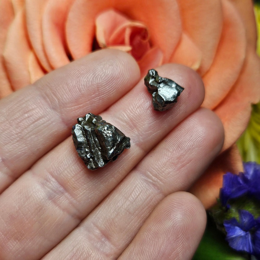Meteorite Specimen