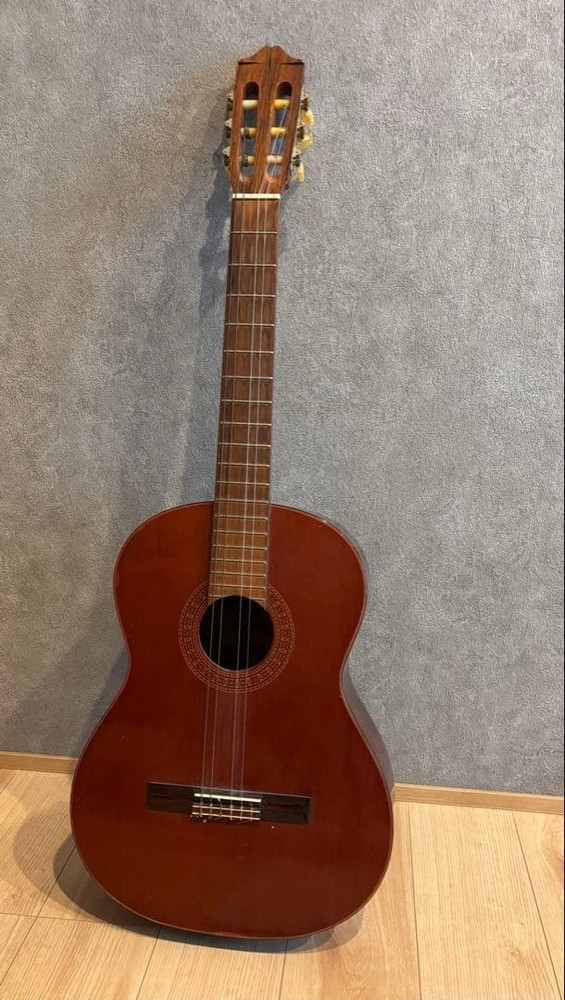 Morris Classical Guitar With Sabares Strings