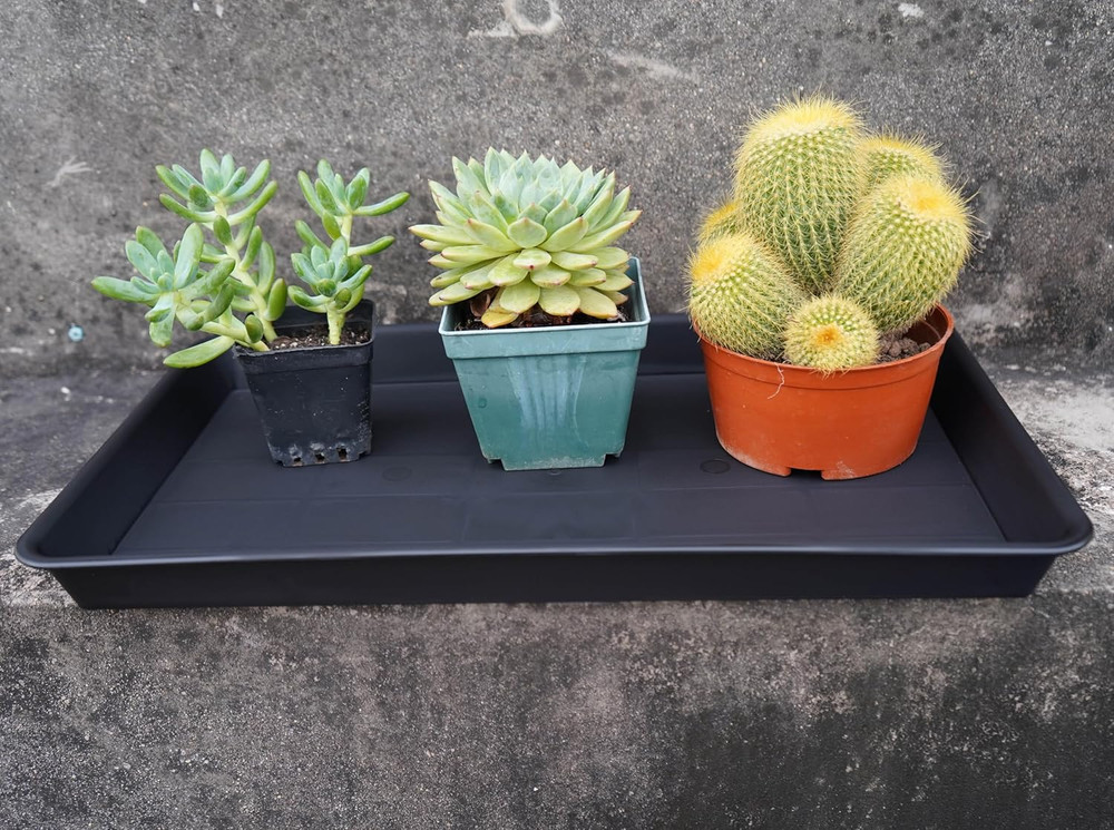 Plant Saucer Growing Tray, Seed Starter Tray Rectangular, Heavy Sturdy Plastic P