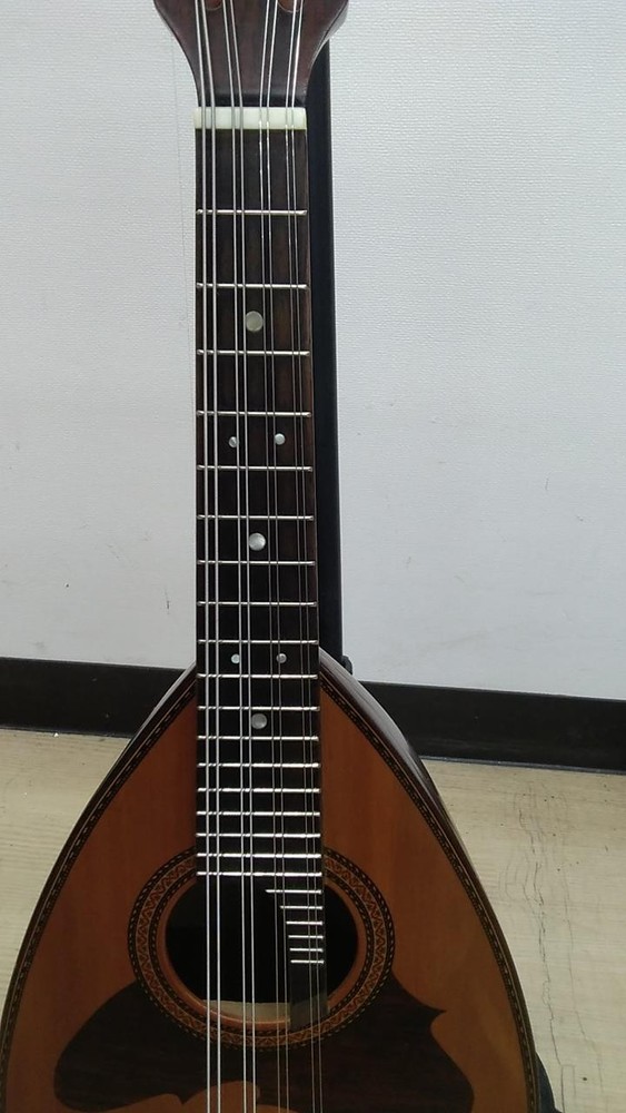 SUZUKI M-218 Mandolin