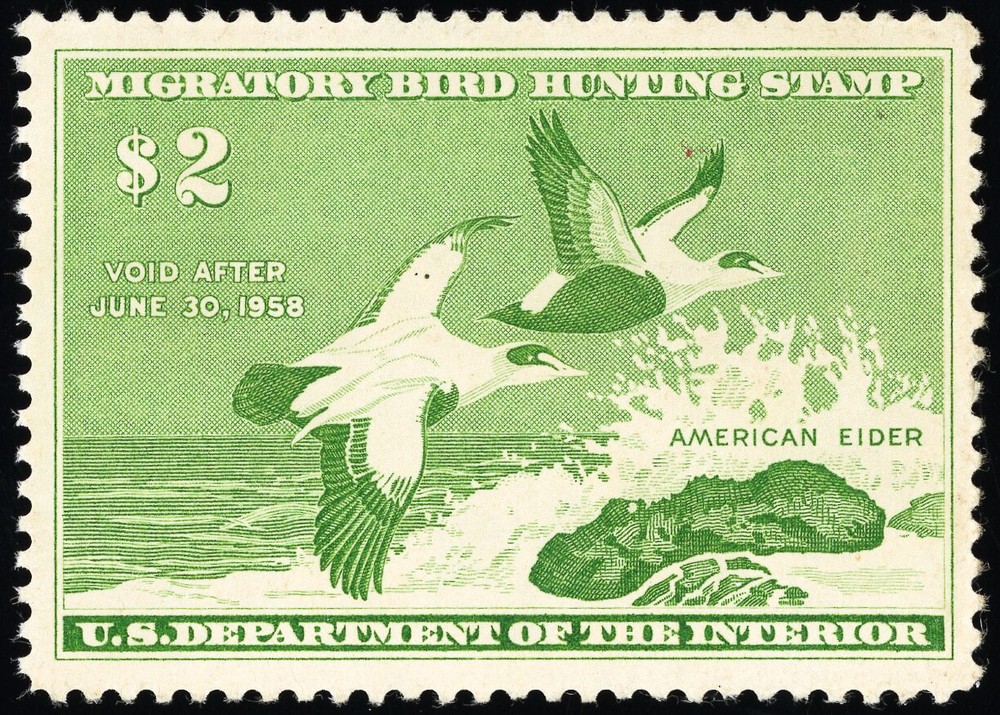 US Stamps # RW24 Duck MNH Superb