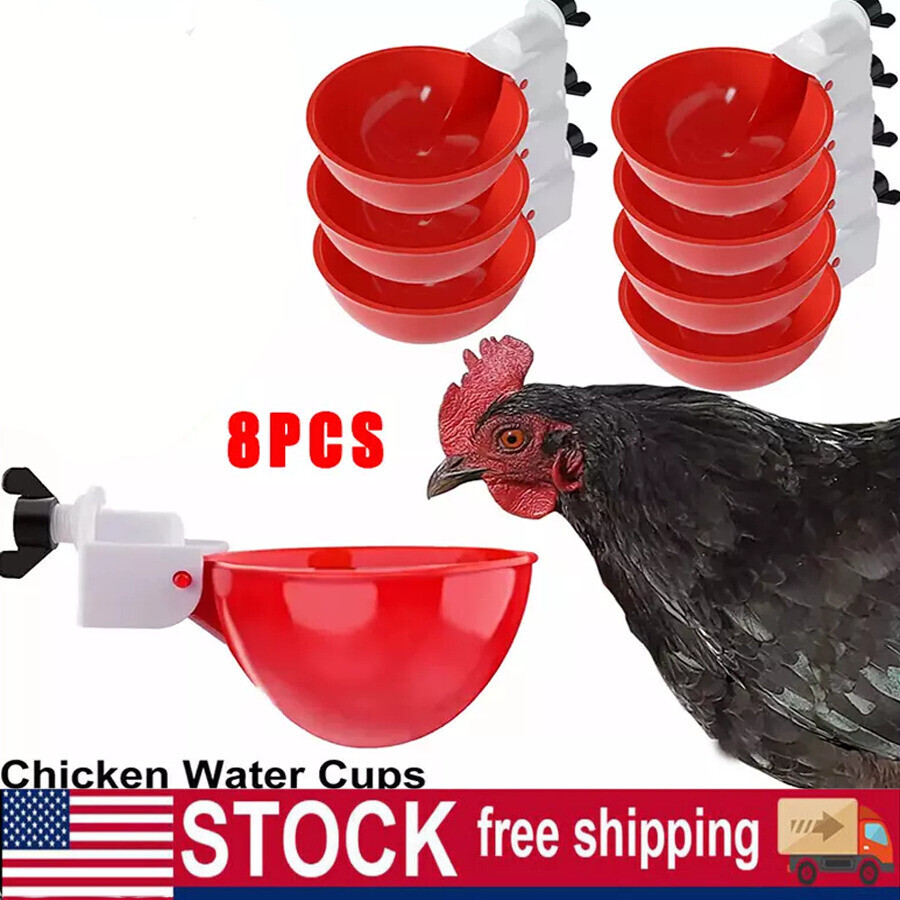 8X Poultry Water Drinking Cups Chicken Hen Plastic Automatic Drinker Feeder